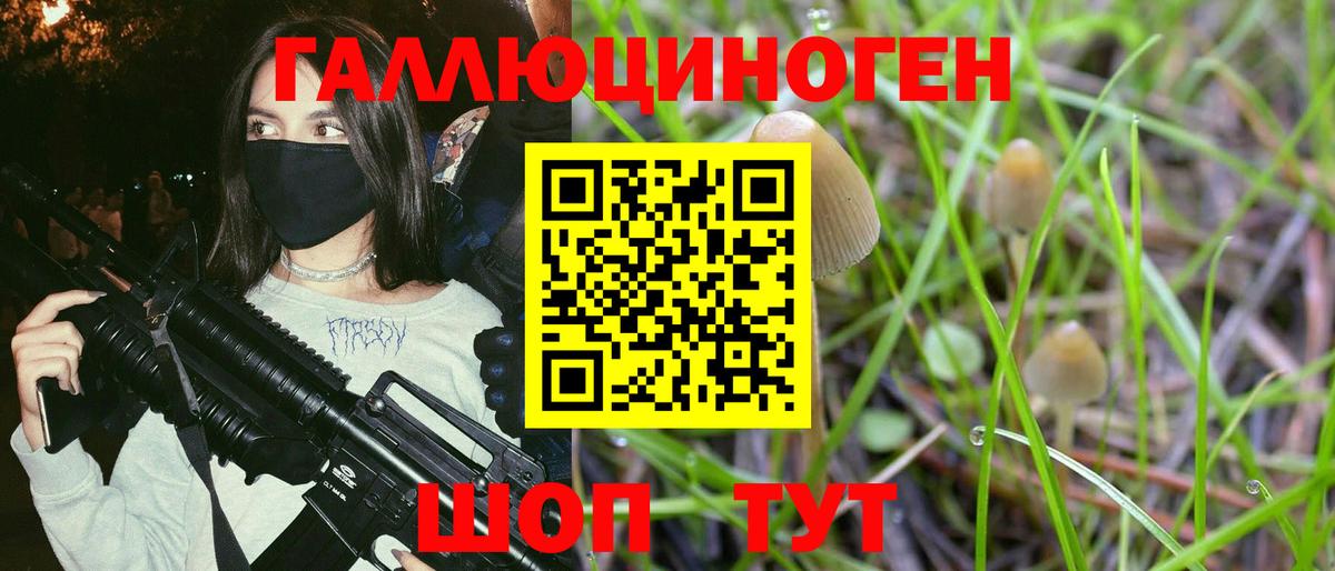 Галлюциногенные грибы Psilocybine cubensis  Вход с VPN  Гудермес  Псилоцибиновые грибы Psilocybine cubensis 