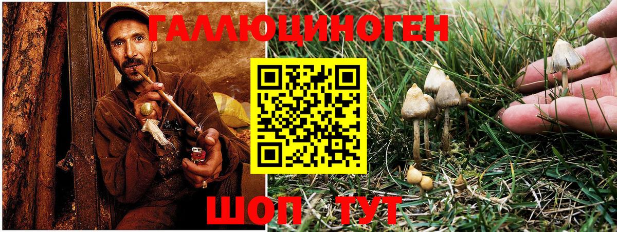 Псилоцибиновые грибы Magic Shrooms Гудермес